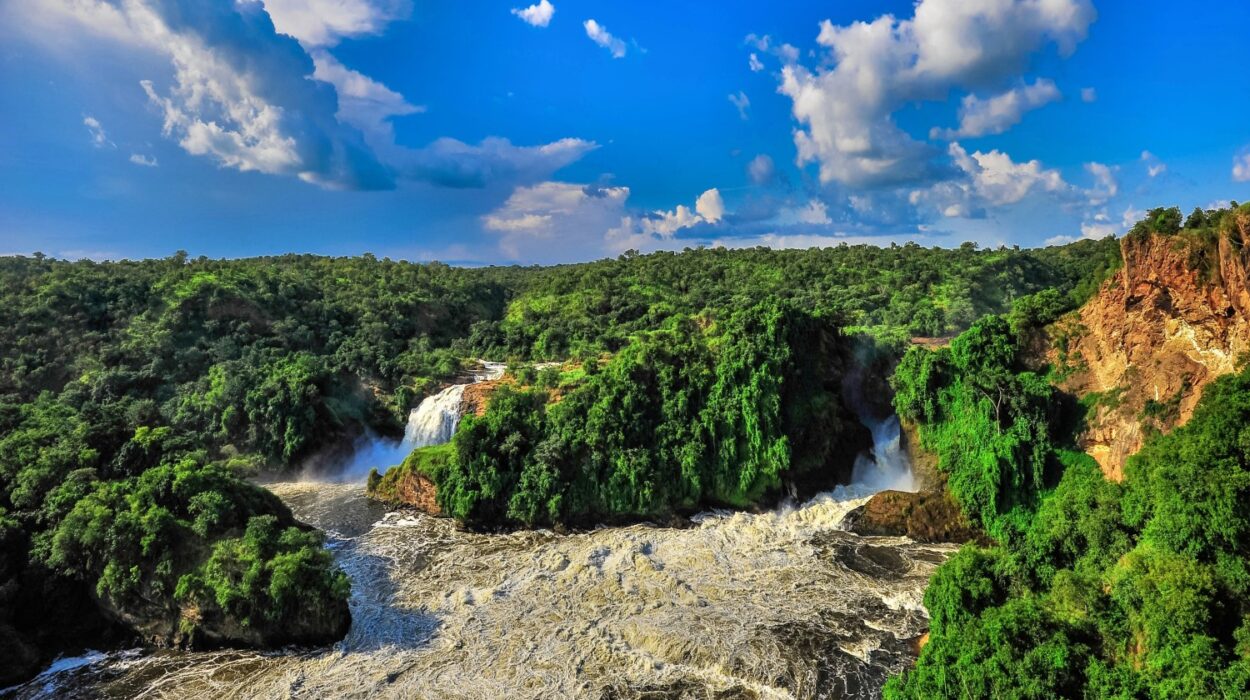 Exploring Murchison falls with tourist activities - Wildlife safaris Uganda.