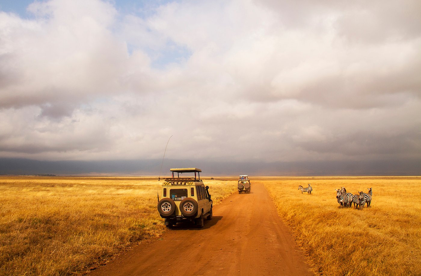 Things to do on a Safari