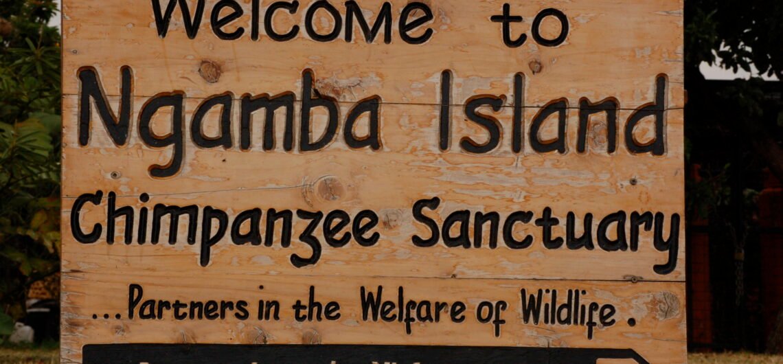 Ngamba island chimpanzee sanctuary