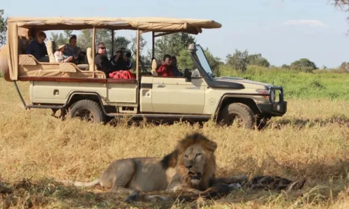 Preparing for wildlife Safaris to Uganda