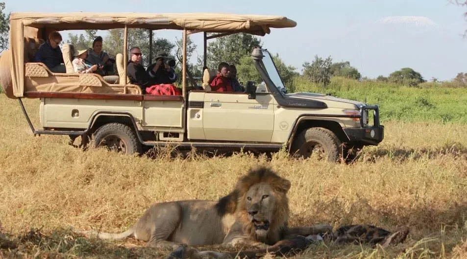 Preparing for wildlife Safaris to Uganda
