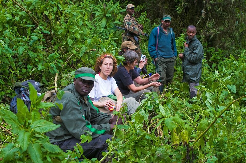 The Best Time for Gorilla Trekking in Uganda and Rwanda.