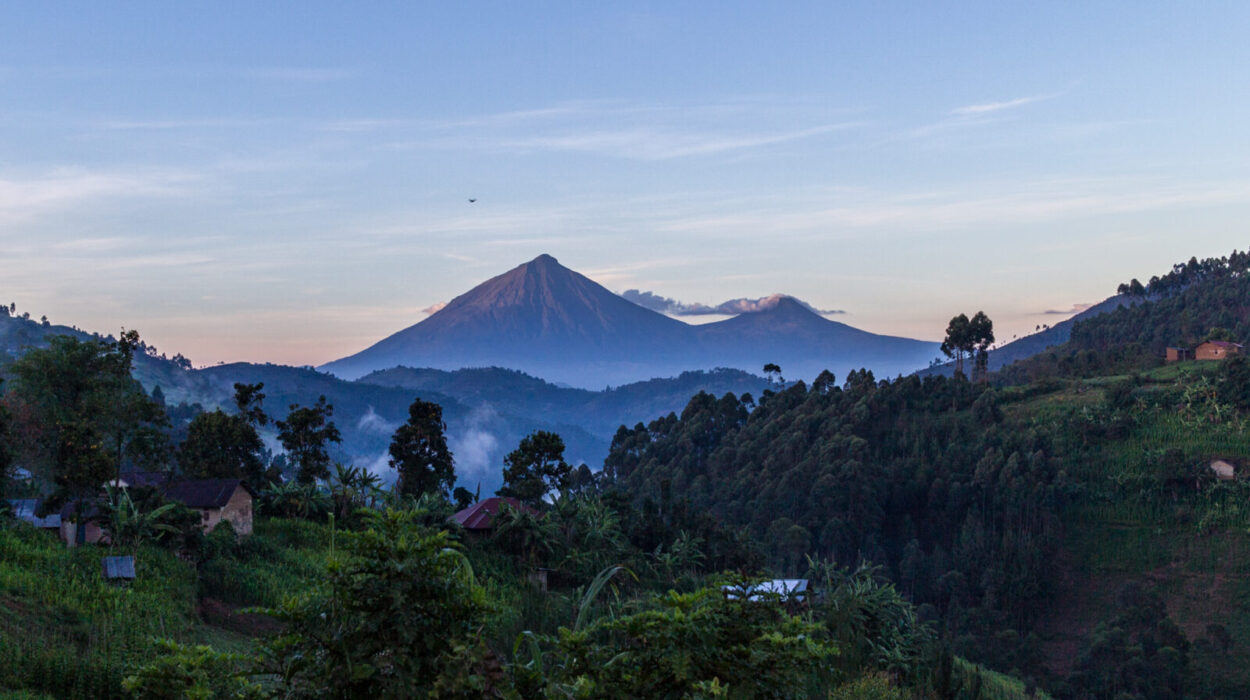 Planning for three days gorilla trekking safari to Uganda