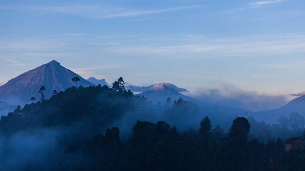 Top gorilla trekking destinations in Uganda