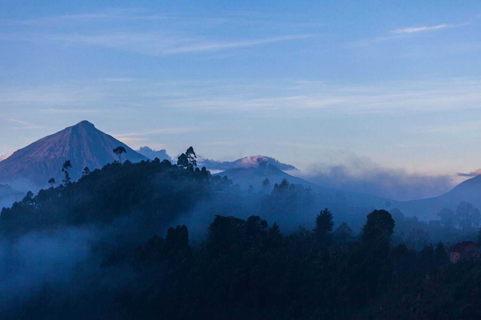 Top gorilla trekking destinations in Uganda