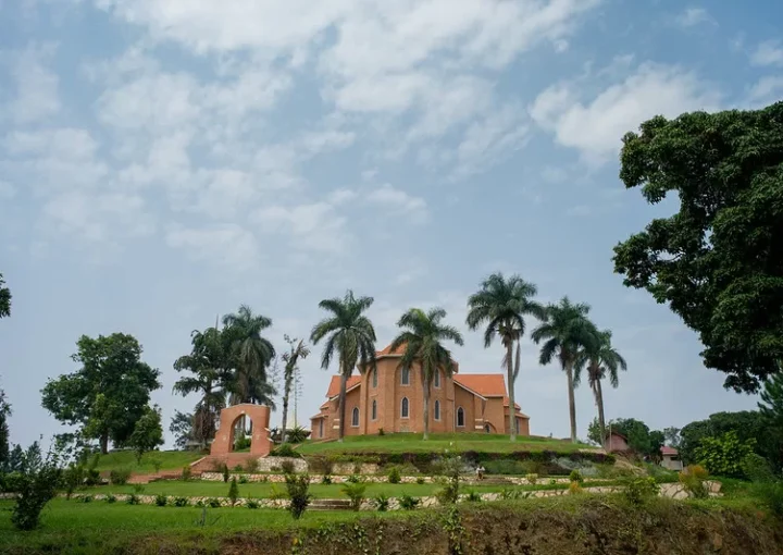 Gorilla Trekking from Kampala
