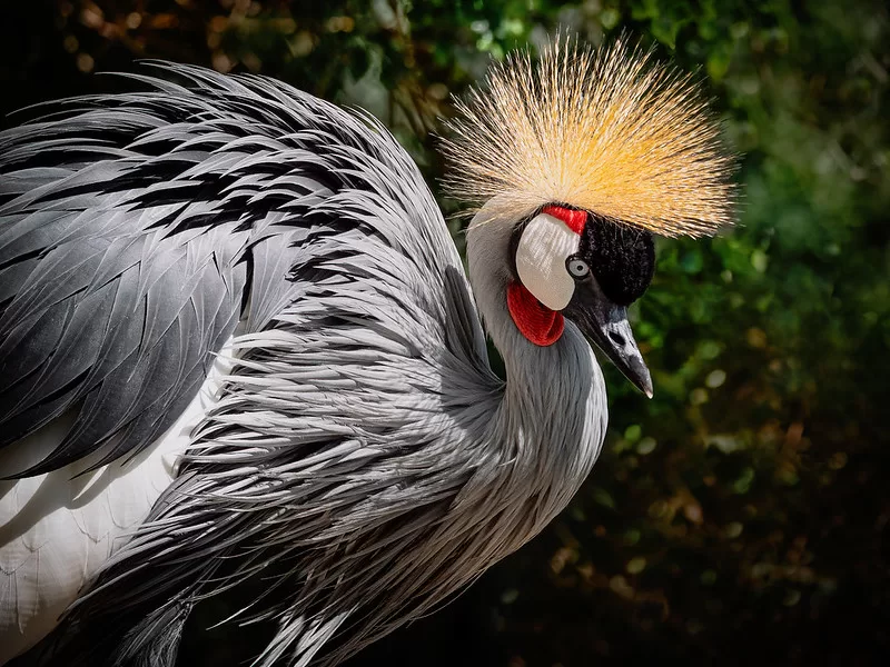 Top Reasons to Visit Uganda Next