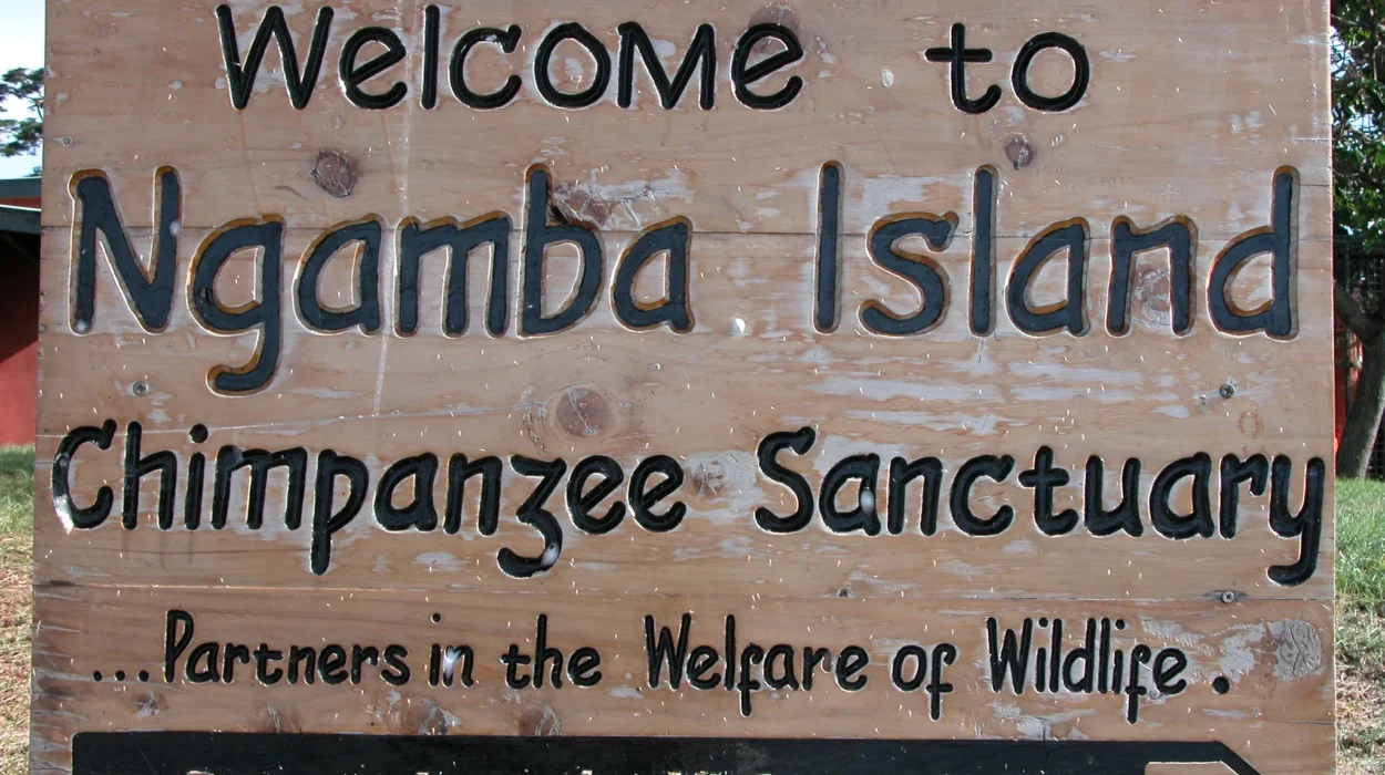 Tourist activities in Entebbe