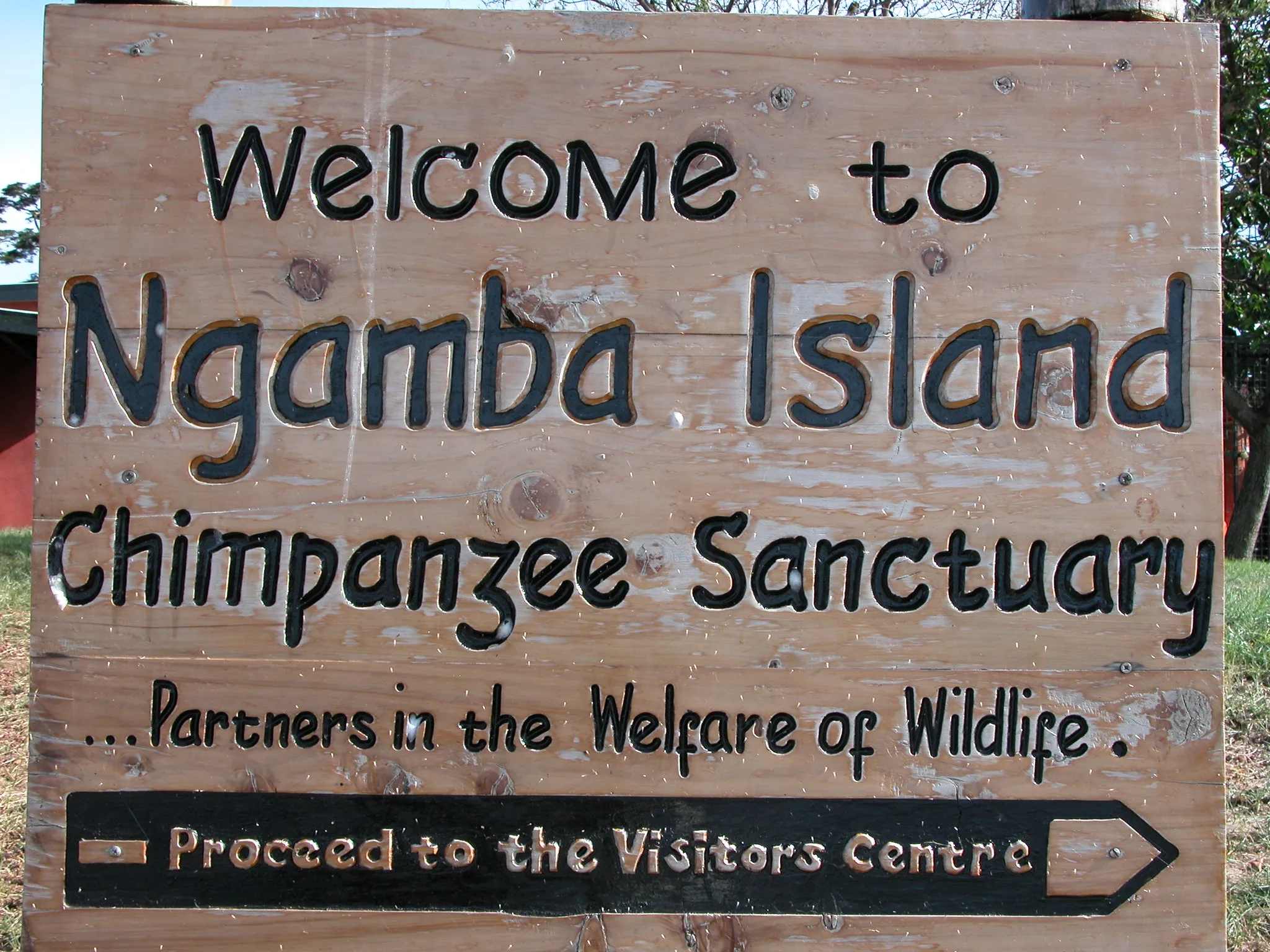 Tourist activities in Entebbe