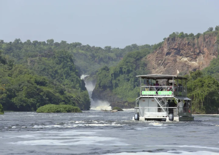Boat Cruise Adventures in Uganda