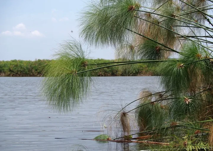 Lake Mburo National Park Community Benefits - Lake Mburo Safaris - Horse riding.