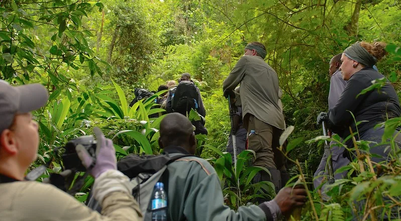 What To Do In case You Lose Your Gorilla Trekking Gears.