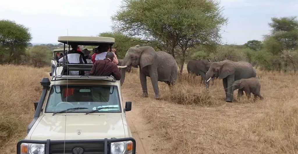 Booking a Safari Vehicle in Uganda