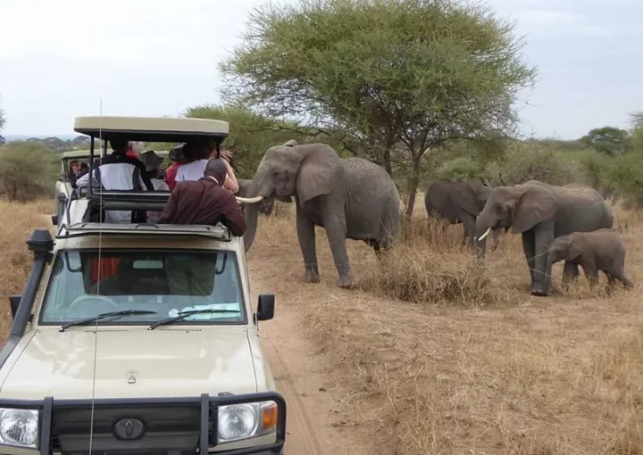 Booking a Safari Vehicle in Uganda