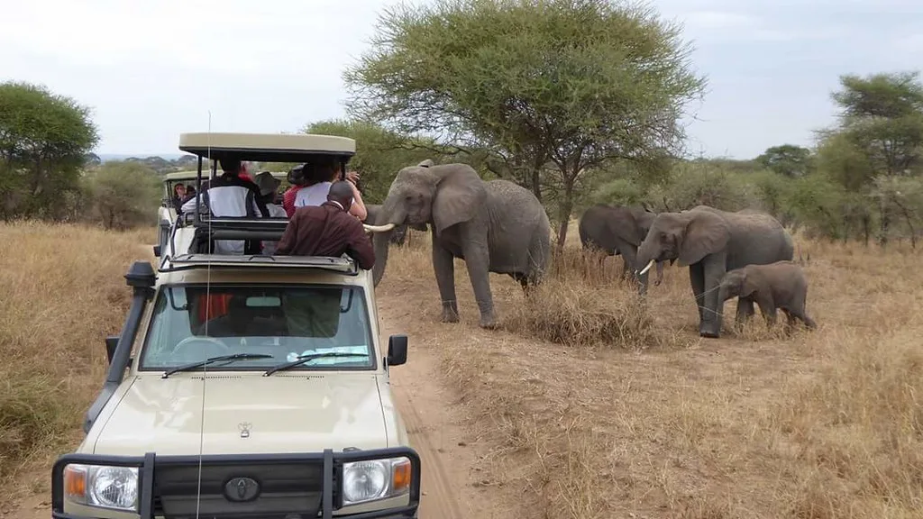 Booking a Safari Vehicle in Uganda