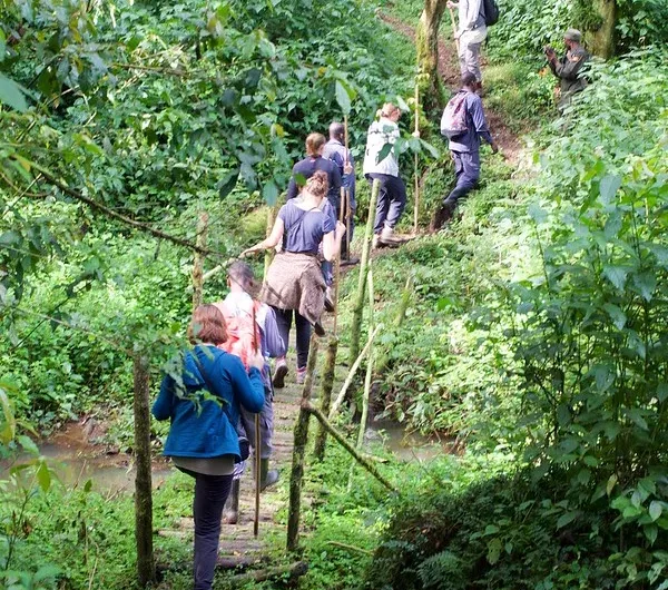 How To Get To Bwindi National Park by Fly-in Or Driving Safari.