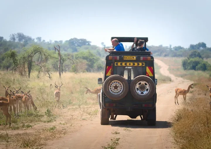 How to plan a winter Holiday safari to Rwanda.