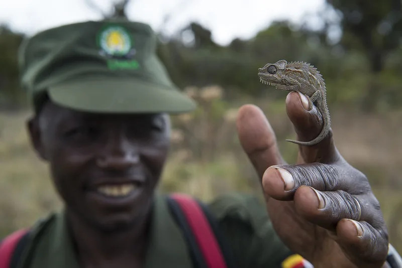 AUTO-UWA - Uganda tour operator - Uganda safaris and tours.