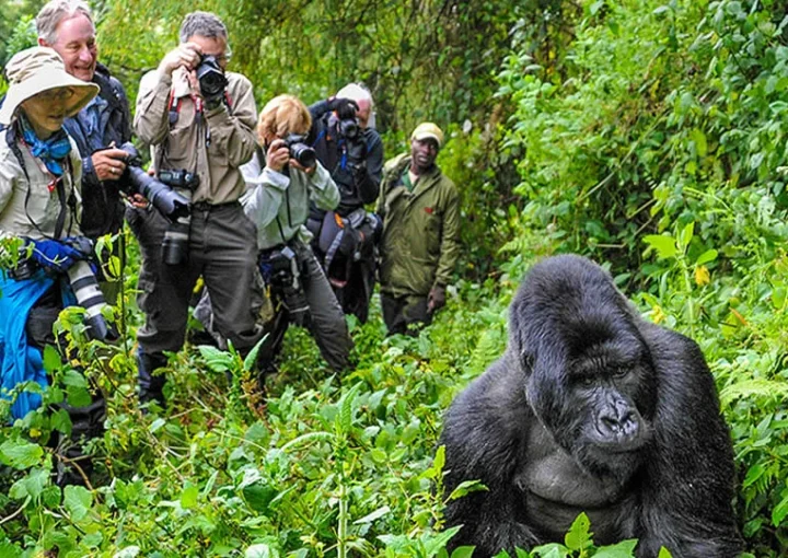 Best Clothes for gorilla trekking