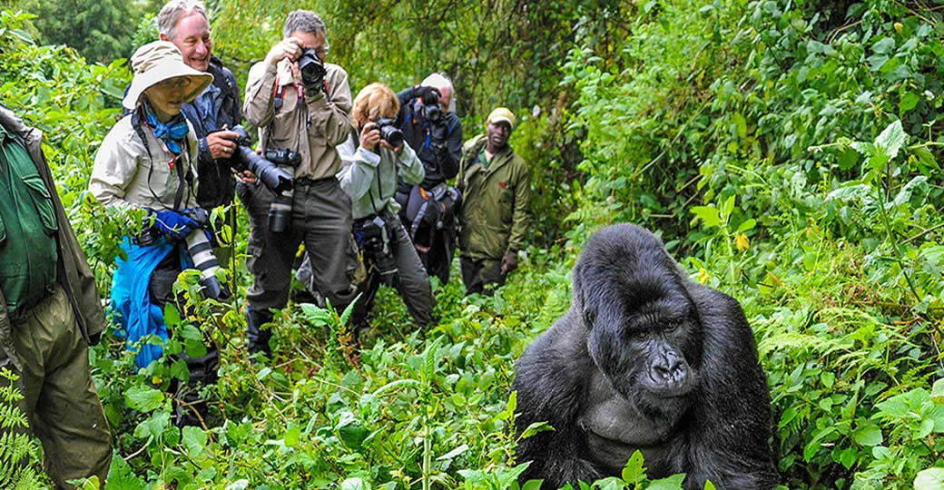 Best Clothes for gorilla trekking