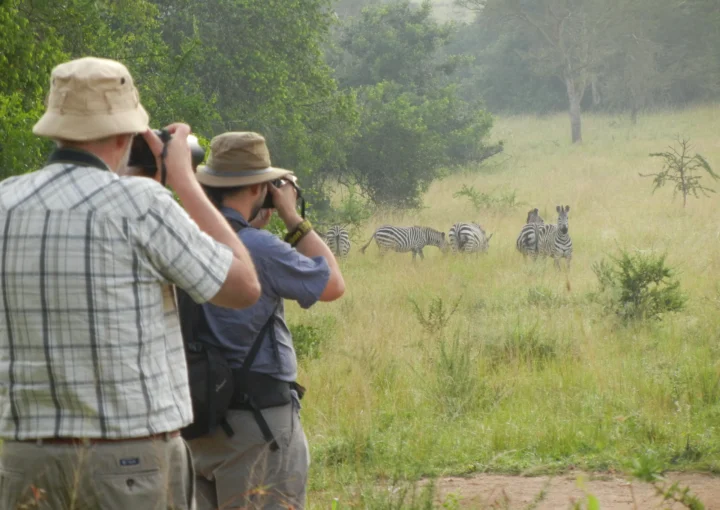 Best walking safaris in Uganda
