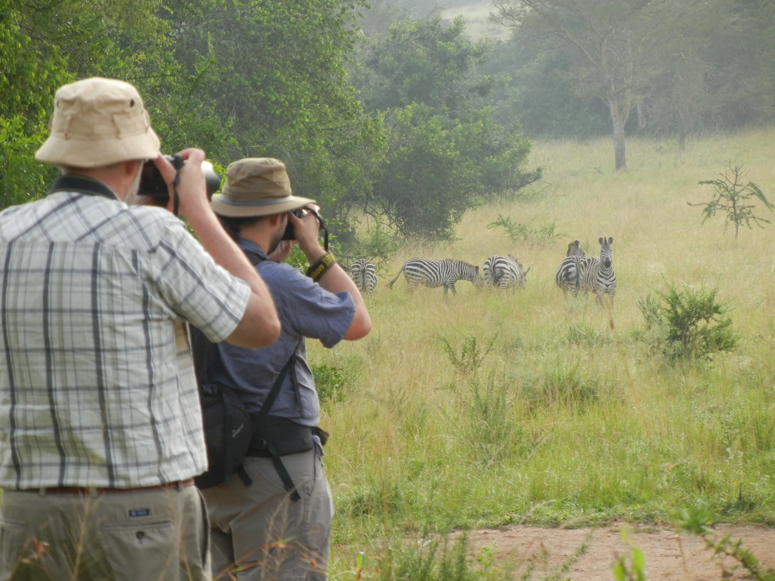 Best walking safaris in Uganda