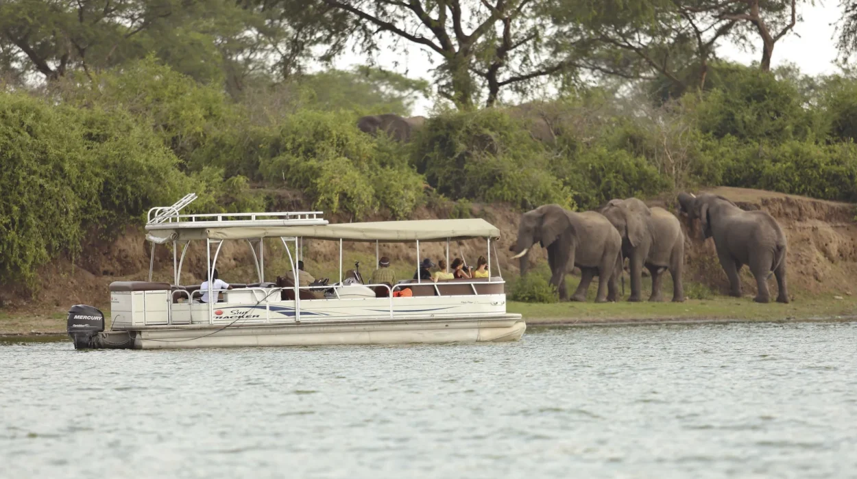 Boat Safaris in Queen Elizabeth National Park