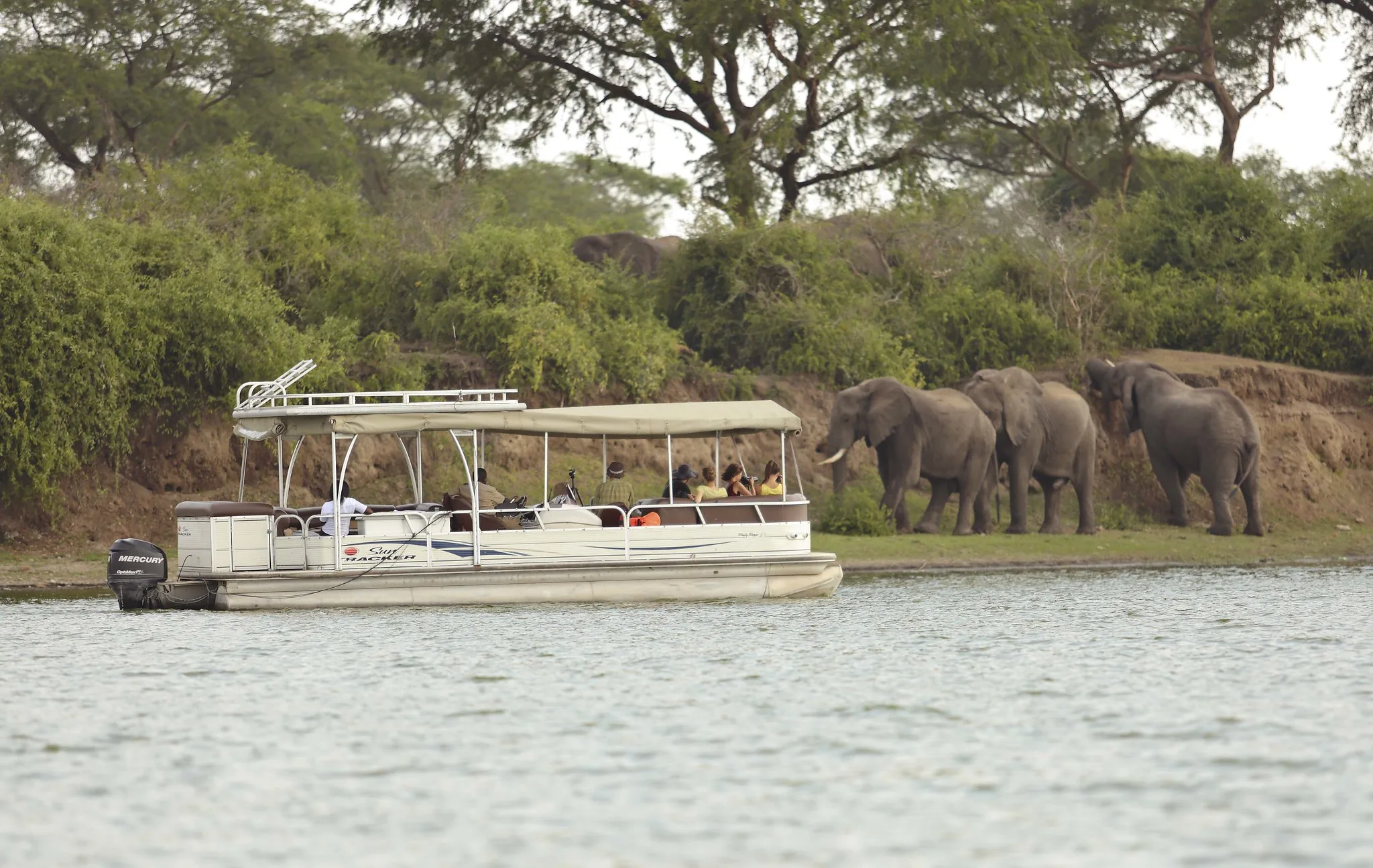Boat Safaris in Queen Elizabeth National Park