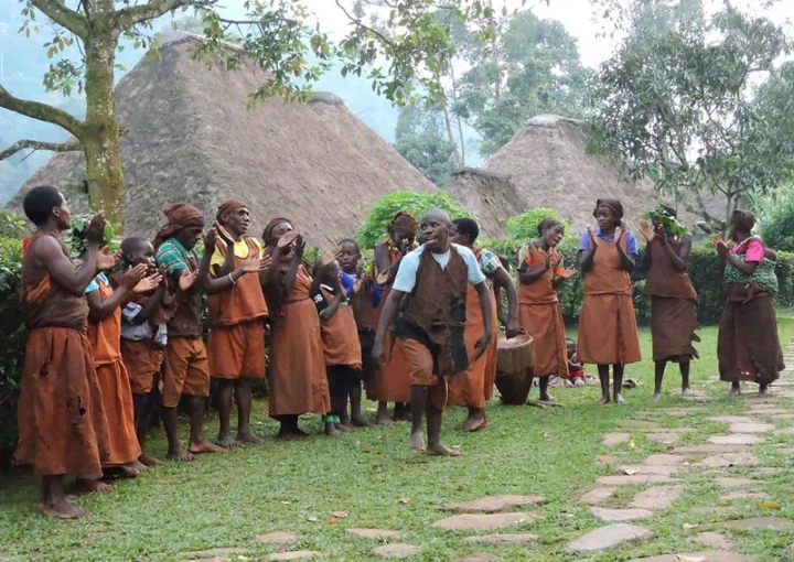 Bwindi safari activities 2024-2025.