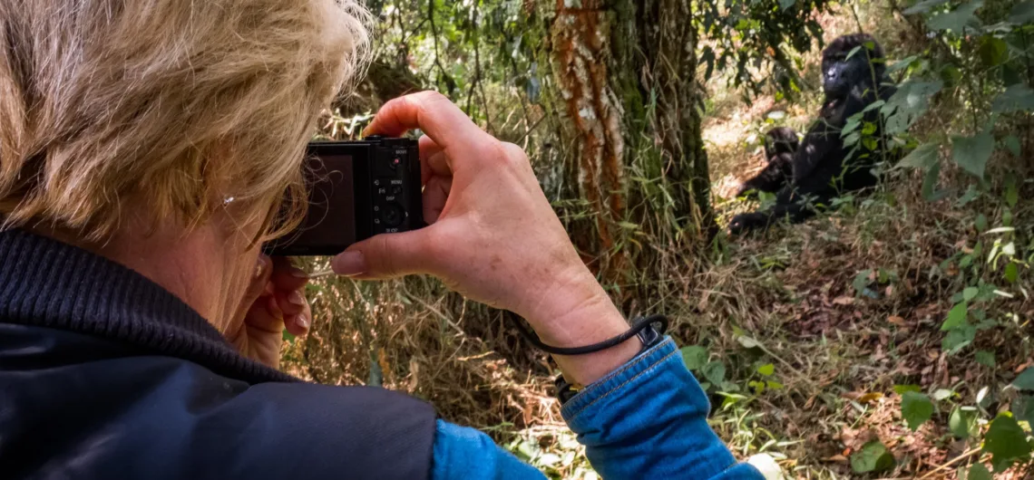 Filming Mountain Gorillas in Uganda