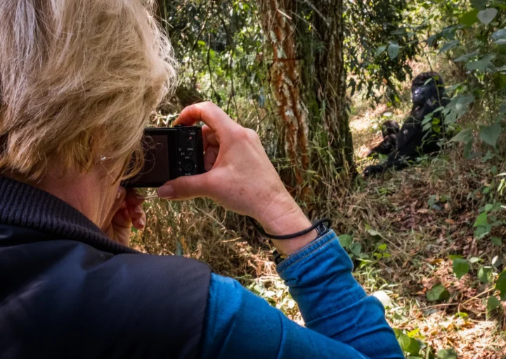 Filming Mountain Gorillas in Uganda