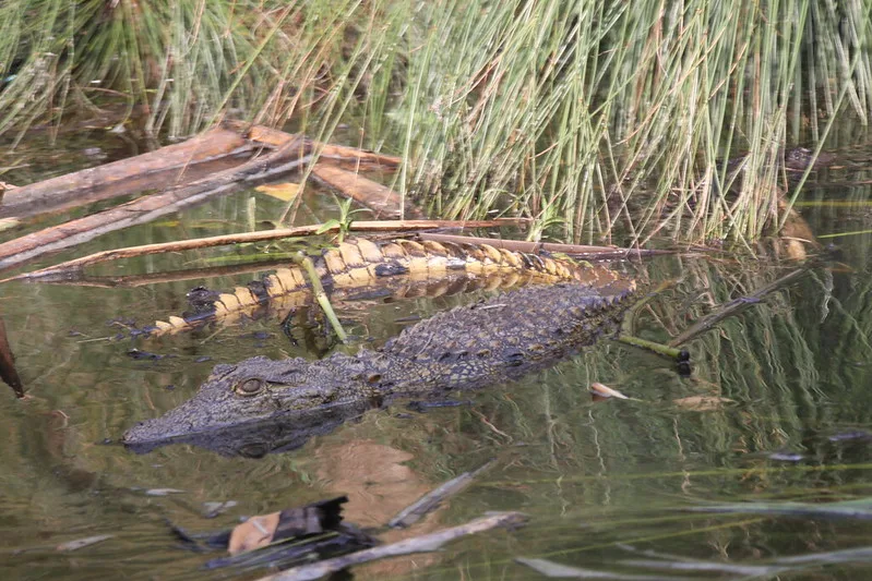 Filming in Lake Mburo National Park.