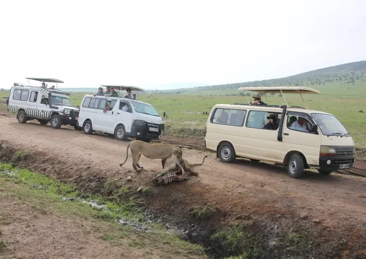 Free entrance for Tour Company driver guides.