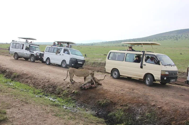 Free entrance for Tour Company driver guides.