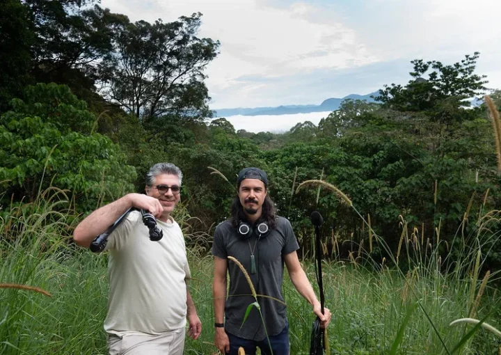 Gorilla Filming Permits - Gorilla trekking safaris and tours.
