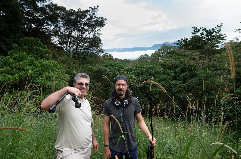 Gorilla Filming Permits - Gorilla trekking safaris and tours.