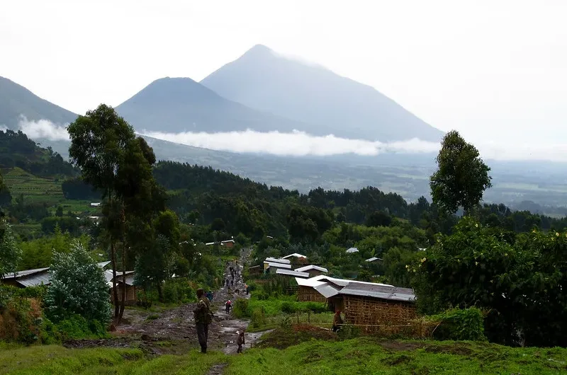 Karisoke guides and researchers.