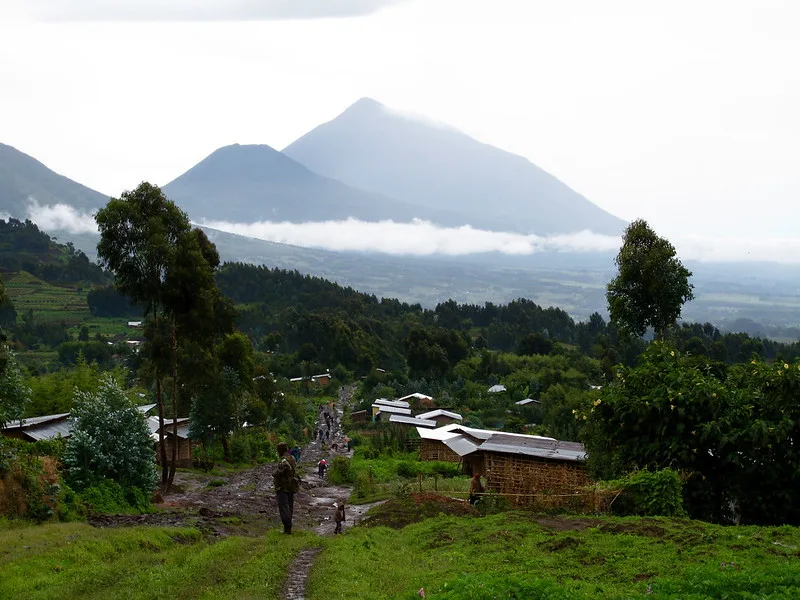 Karisoke guides and researchers.