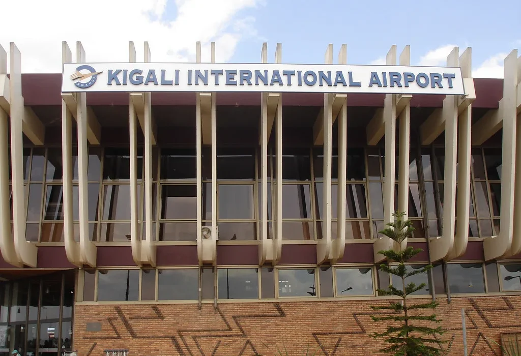 Gorillas in Uganda or Rwanda