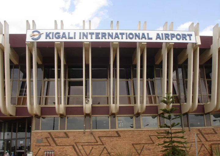 Gorillas in Uganda or Rwanda