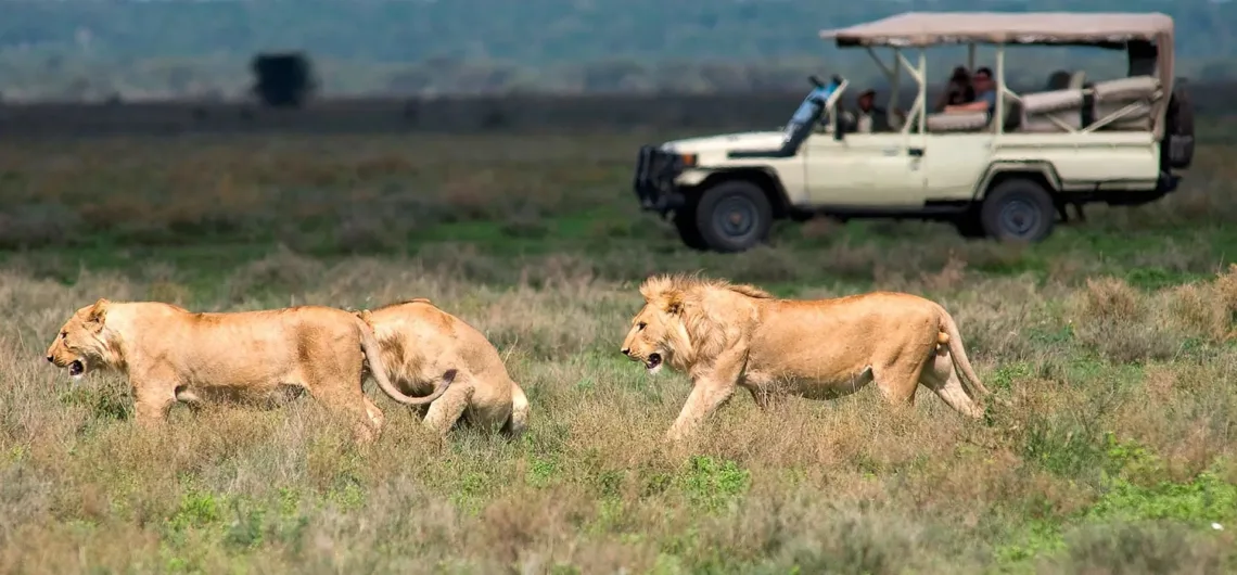 Pop-Up Roofed Safari Cars | Uganda