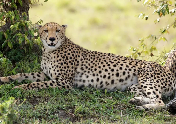 Reasons to visit East Africa