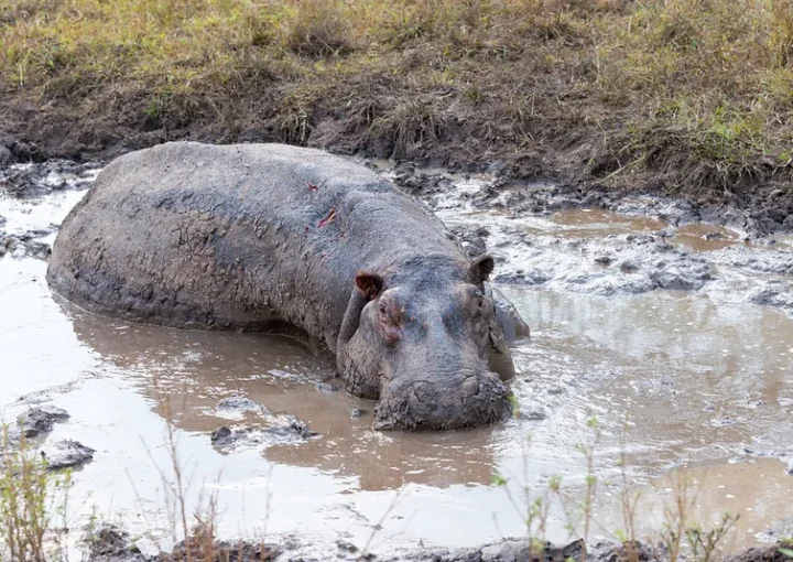 Tourist attractions, sites and hotels in Mbarara District.