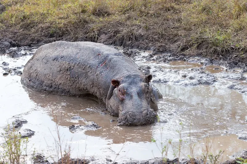 Tourist attractions, sites and hotels in Mbarara District.