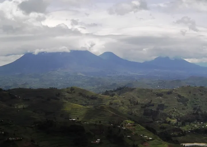 Treaty to manage Virunga Landscapes planned. 