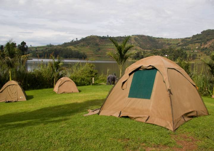 Gorilla Trekking and Camping Safaris in Uganda