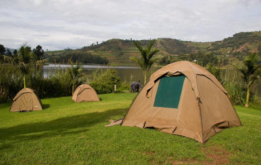 Gorilla Trekking and Camping Safaris in Uganda