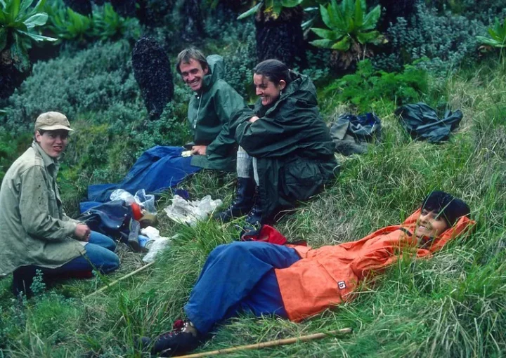 out to follow the gorillas.