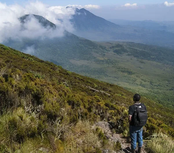 virunga ranges and water catchment