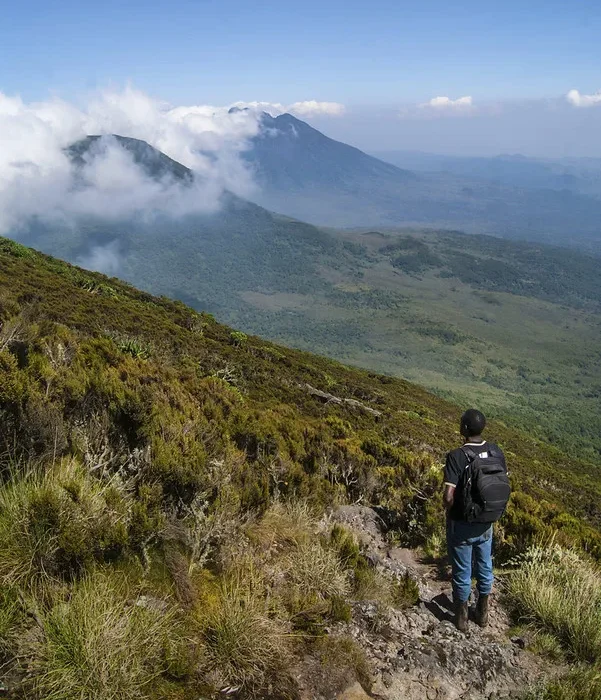 virunga ranges and water catchment